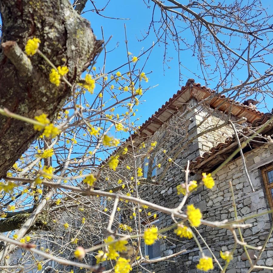 Hotel Bujtina Tusha Priska e Madhe Exterior foto