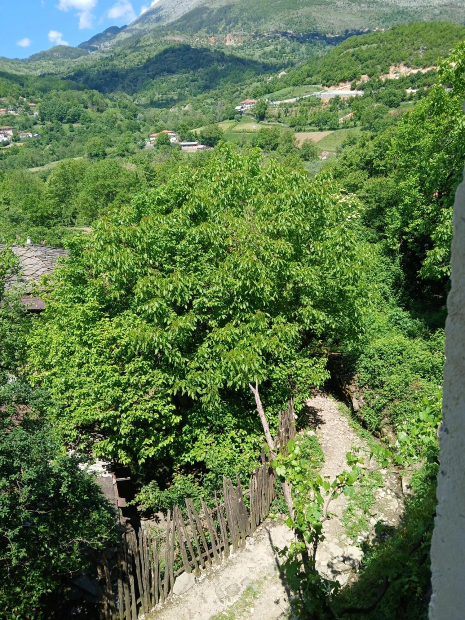 Hotel Bujtina Tusha Priska e Madhe Exterior foto